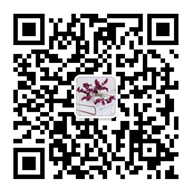 刘老师微信二维码.png