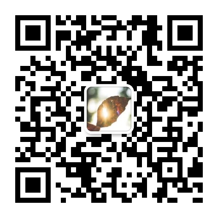 324210730174218544.jpg