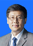 薛泉-比例.png