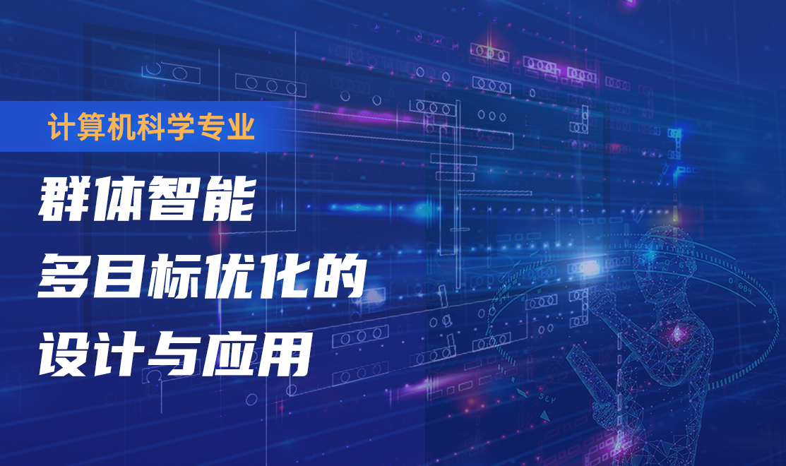 群体智能多目标优化的设计与应用