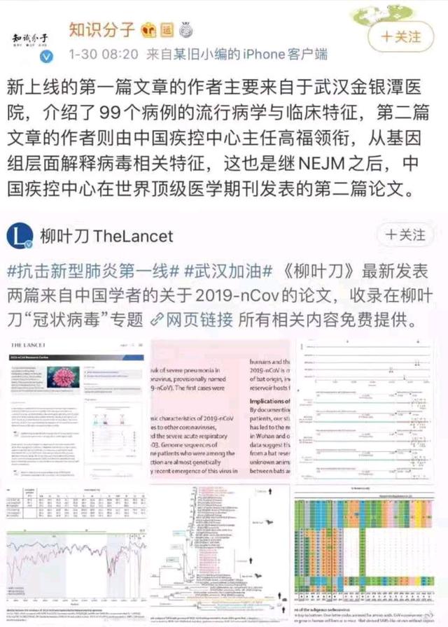 94cad1c8a786c9178e5f8a46735953c93ac757d8.jpeg