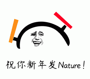 6.gif