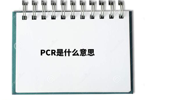 新建项目 (5).jpg