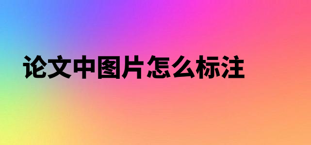 u=2257945027,64779907&fm=26&gp=0 (17).jpg