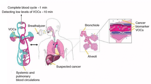 figure2.jpg