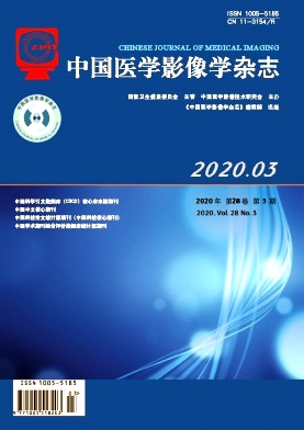 ZYYZ202003.jpg