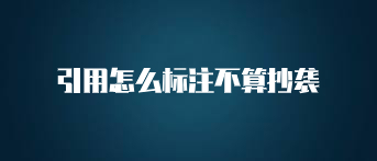 引用怎么标注不算抄袭