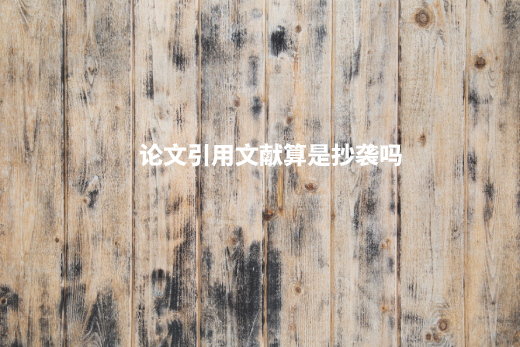 论文引用文献算是抄袭吗 .jpg