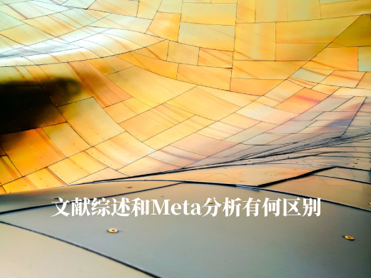 文献综述和Meta分析有何区别 .jpg