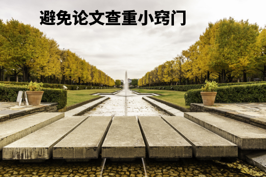 避免论文查重小窍门 .jpg
