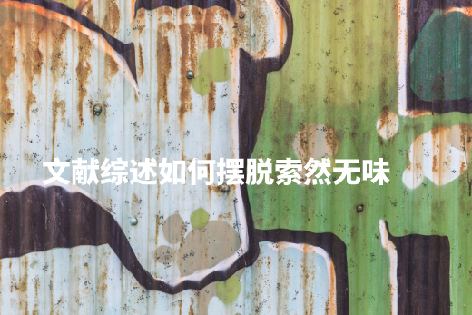 文献、综述如何摆脱索然无味 .jpg