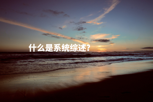 什么是系统综述？ .jpg