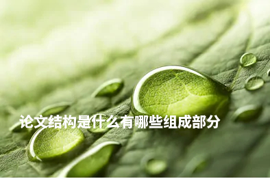论文结构是什么有哪些组成部分.jpg