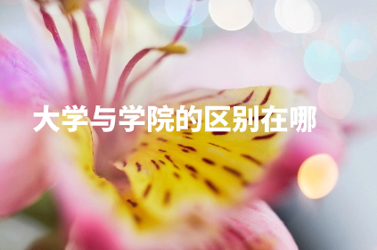 大学与学院的区别在哪.jpg