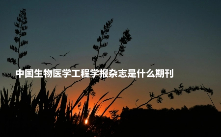 中国生物医学工程学报杂志是什么期刊.jpg