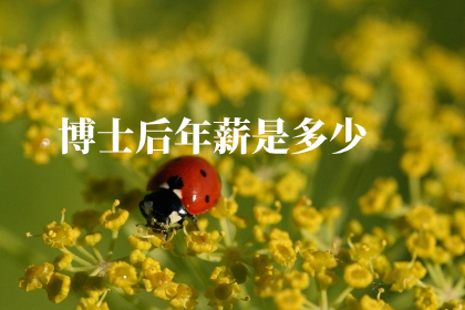 博士后年薪是多少.jpg