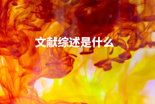 文献综述是什么 .jpg
