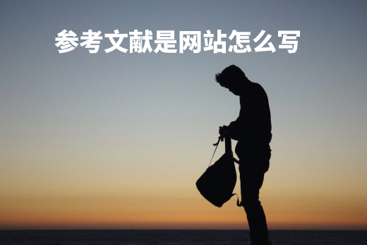 参考文献是网站怎么写 .jpg