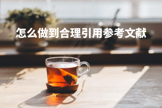 怎么做到合理引用参考文献 .jpg