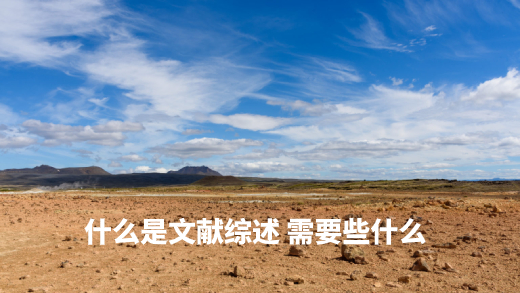 什么是文献综述 需要些什么 .jpg