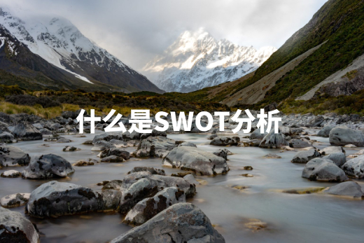 什么是SWOT分析 .jpg