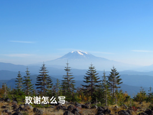 致谢怎么写 .jpg