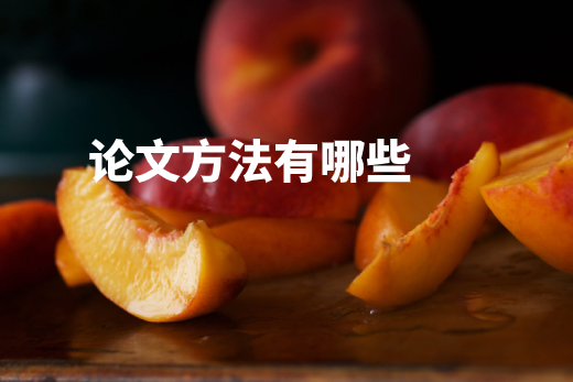 论文方法有哪些 .jpg