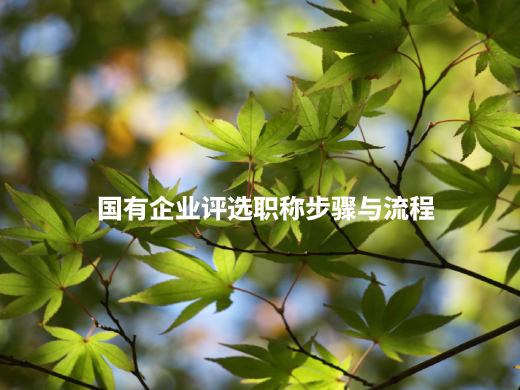 国有企业评选职称步骤与流程 .jpg