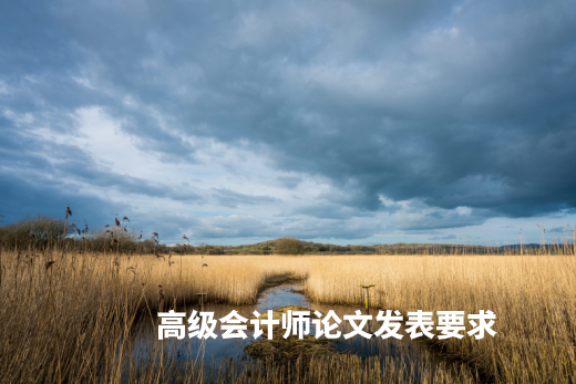 高级会计师论文发表要求 .jpg