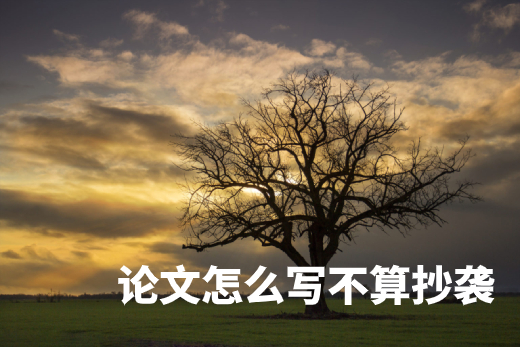 论文怎么写不算抄袭 .jpg