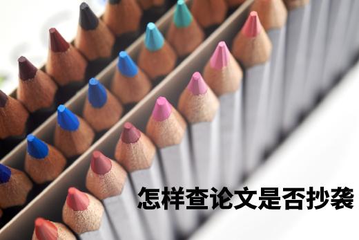 怎样查论文是否抄袭 .jpg