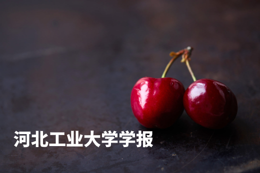 河北工业大学学报 .jpg