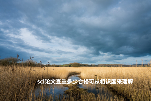 sci论文查重多少合格可从相识度来理解 .jpg