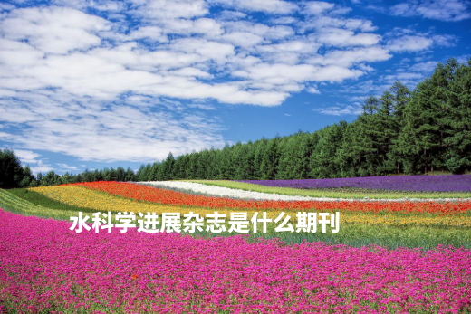 水科学进展杂志是什么期刊 .jpg