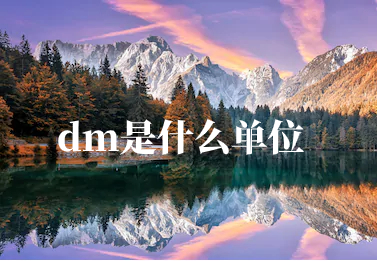 dm是什么单位.jpg