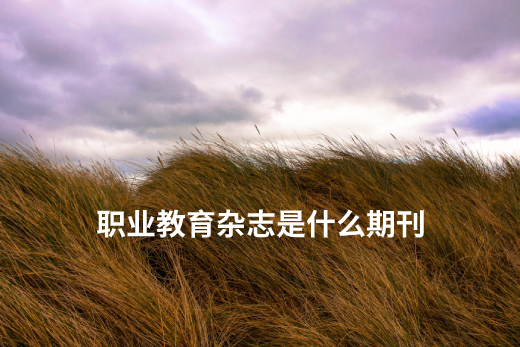 职业教育杂志是什么期刊 .jpg