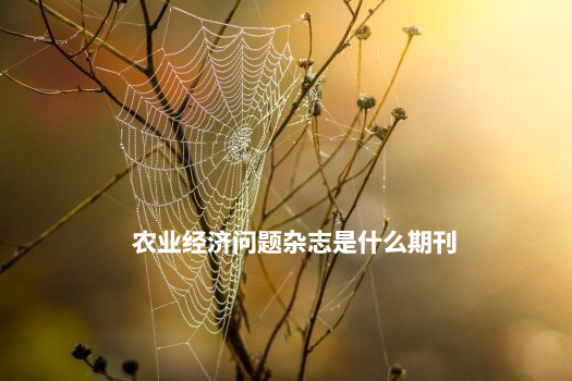 农业经济问题杂志是什么期刊 .jpg