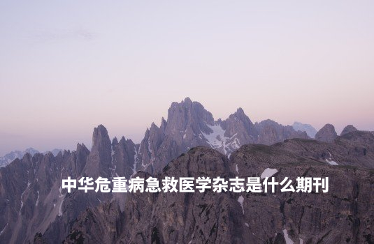 中华危重病急救医学杂志是什么期刊 .jpg