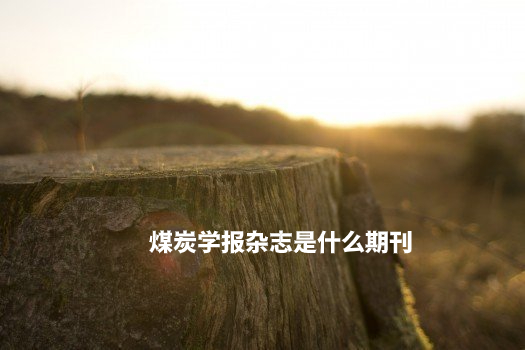 煤炭学报杂志是什么期刊 .jpg