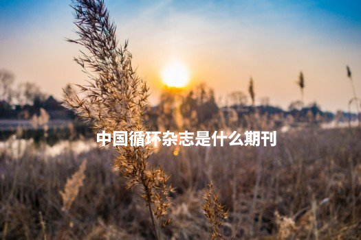 中国循环杂志是什么期刊 .jpg