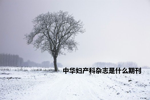 中华妇产科杂志是什么期刊 .jpg
