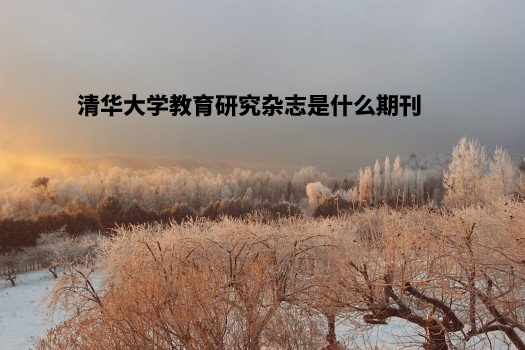 清华大学教育研究杂志是什么期刊 .jpg