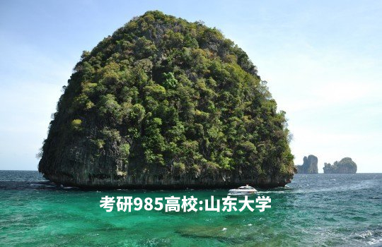 考研985高校：山东大学 .jpg