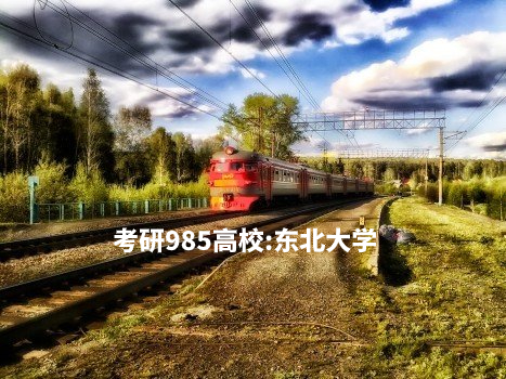 考研985高校：东北大学 .jpg