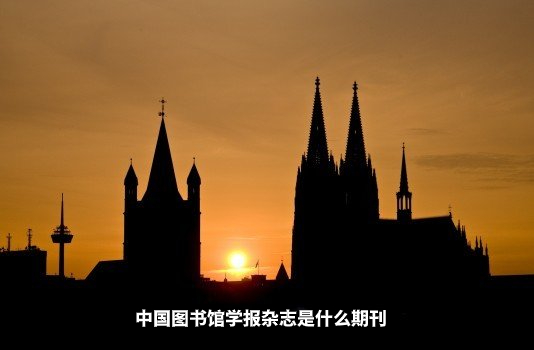 中国图书馆学报杂志是什么期刊 .jpg