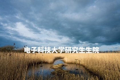 电子科技大学研究生生院.jpg
