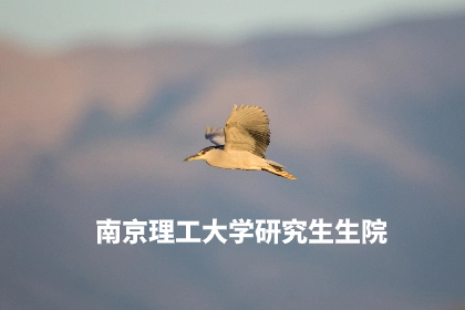 南京理工大学研究生生院.jpg