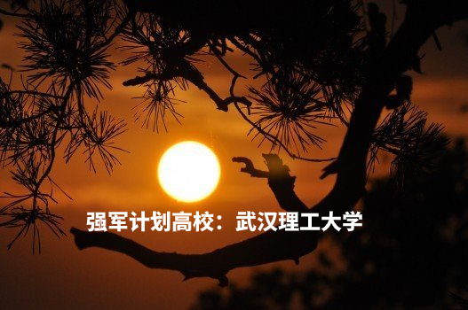 强军计划高校:武汉理工大学 .jpg