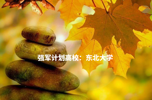 强军计划高校：东北大学 .jpg