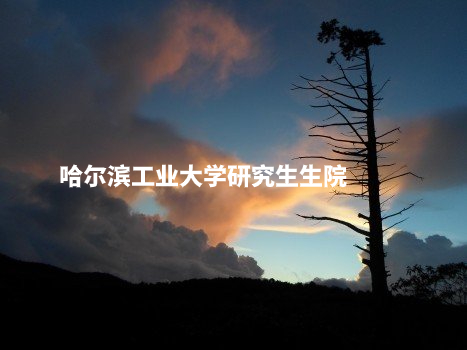 哈尔滨工业大学研究生生院 .jpg